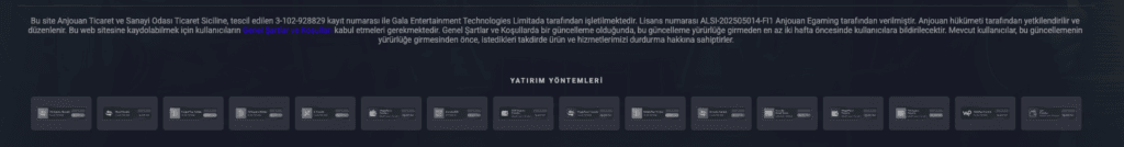 betpipo lisans bilgi